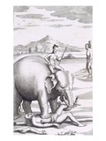 An Execution by an Elephant  from 'An Historical Relation of the Island Ceylon'  Pub 1681