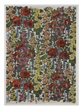 Hollyhocks and Roses  Pub 1933 (Colour Litho)