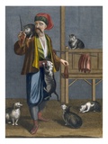 Cat Feeder