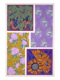 Plate 11  from 'Forms and Colours'  C1930 (Colour Litho)