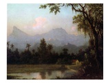 Rio De Janeiro  Brazil  C1865 (Oil on Board)