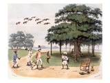 Flying Foxes at Banyantree  C1791-98 (Colour Aquatint)