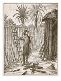 Robinson Crusoe Building His Bower