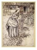 Maidens Call it Love-In-Idleness  Illustration from 'Midsummer Nights Dream' by William Shakespeare