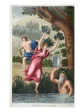 Daphne into a Laurel  Illustration from Ovid's Metamorphoses  Florence  1832