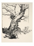 The Duke's Oak  Illustration from 'Midsummer Nights Dream' by William Shakespeare  1908 (Litho)