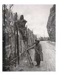 The Gentle Art of Camouflage in the Vosges  Illustration from 'The Illustrated War News'