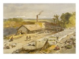 Indigo Factory - Bengal  from 'India Ancient and Modern'  1867 (Colour Litho)