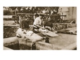 Our Exchanged Prisoners from Germany Transferred to Switzerland: at Chateau D'Oex