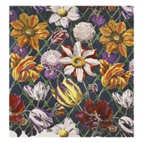 Tulips and Dahlias  Pub 1933 (Colour Litho)