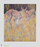 Deer in the Reed