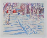 Landscape in Winter