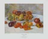 Fruit du Midi 1881