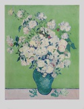 White Roses