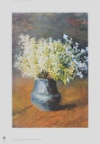 Forget me Not and Dame's Violet