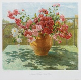 Bush-roses