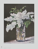 White Lilac in a Glass Vase
