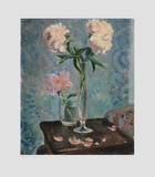 White Peonies