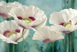 Tasmanian Poppies II
