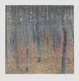 Beech Trees (hand-made paper)