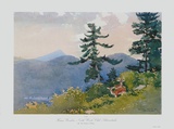 North Woods Club