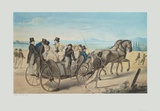 The Outing