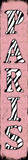Paris Zebra