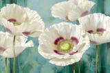 Tasmanian Poppies I