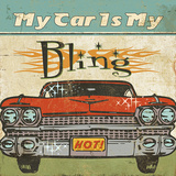 Mancave II (My Car is My Bling)