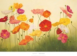 Sunlit Poppies