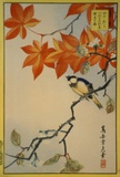 Titmouse  Male and Second Cherry Blossom