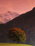 Switzerland  Alps