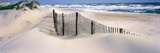 USA  North Carolina  Outer Banks