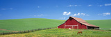 Red Barn with Horses WA