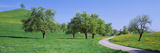 Road Cantone Zug Switzerland