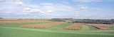Corn and Alfalfa Fields  Green County  Wisconsin  USA