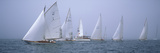 Yachts Racing in the Ocean  Annual Museum of Yachting Classic Yacht Regatta  Newport  Newport Co