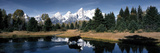 Moose and Beaver Pond Grand Teton National Park WY USA