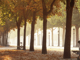 France  Paris  Champs Elysees