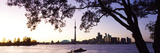 Skyline Cn Tower Skydome Toronto Ontario Canada