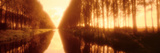Belgium  Tree Lined Waterway Through Countryside  Sepia Tone