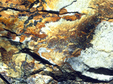 Rock Wasatch National Forest UT USA