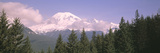Mt Ranier Mt Ranier National Park WA