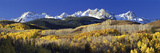 USA  Colorado  Rocky Mountains  Aspens  Autumn