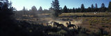 Cowboys on Horses in a Ranch  Bend  Deschutes County  Oregon  USA