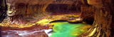 Rock Formations in a Slot Canyon  the Subway  Zion National Park  Utah  USA