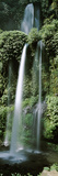 Waterfall in a Forest  Lombok  Indonesia