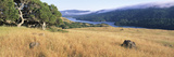 Grass with a Lake in the Background  Crystal Springs Reservoir  San Mateo County  California  USA