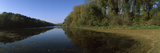 Riverside Forest  Danube River  Lower Austria  Austria