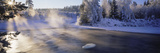 Snow Covered Laden Trees  Dal River  Sweden
